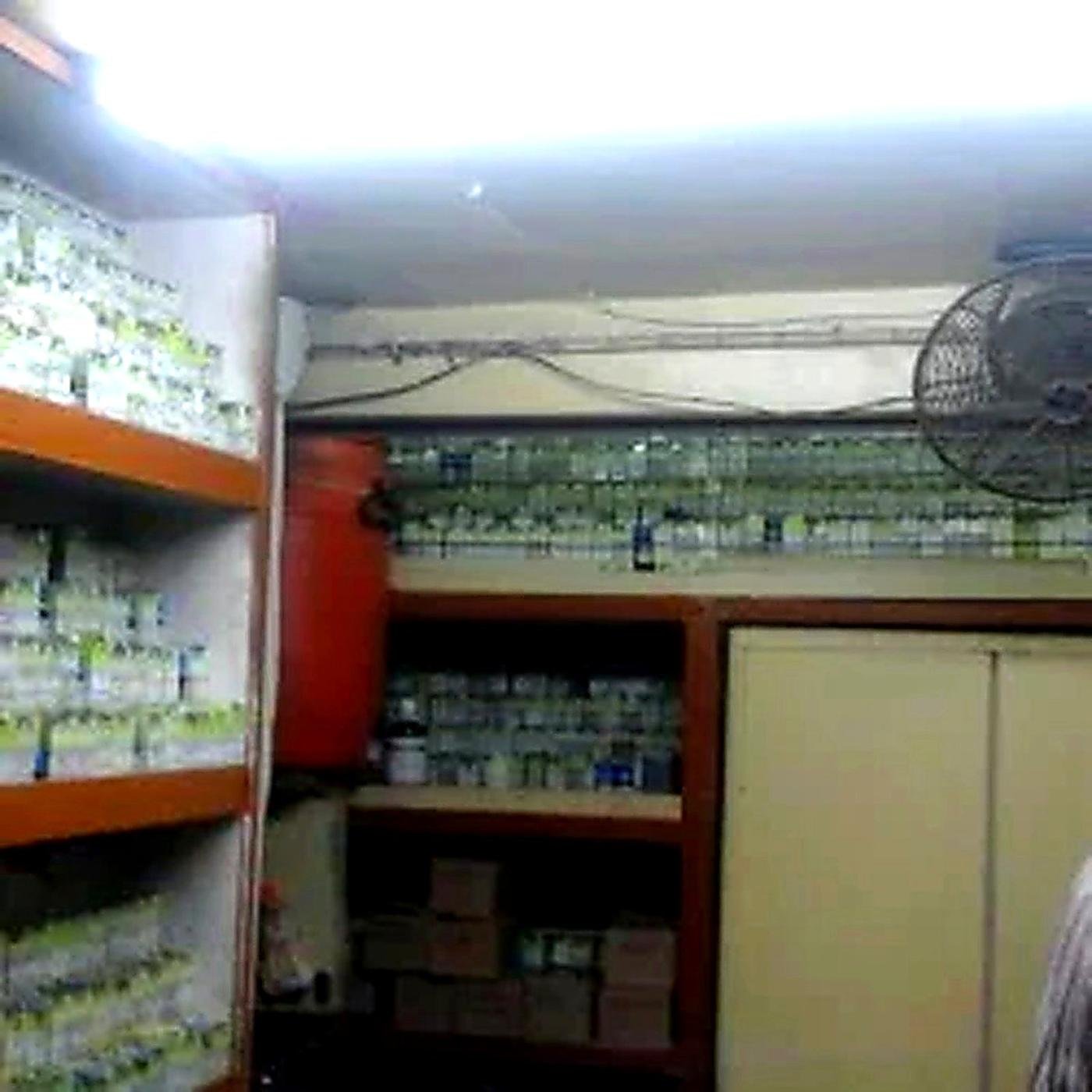Organised medicine storage racks inside Anand Homeo Care