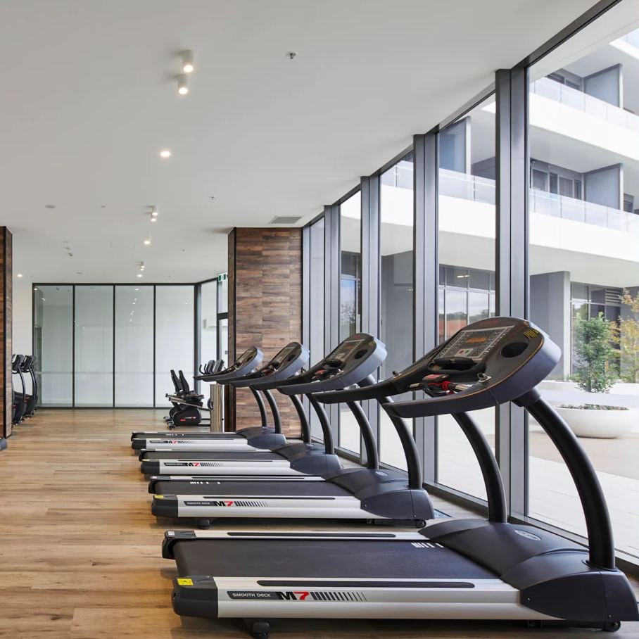 Commercial treadmills by the window